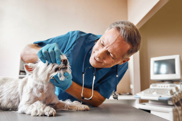 Best Walk-In Emergency Dentist in Eden, TX
